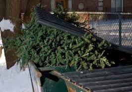 Christmas waste from your business