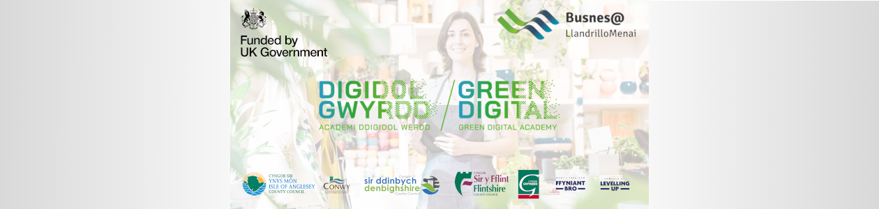 Fully Funded Green Digital Action Plans for SMEs in North Wales through the Green Digital Academy
